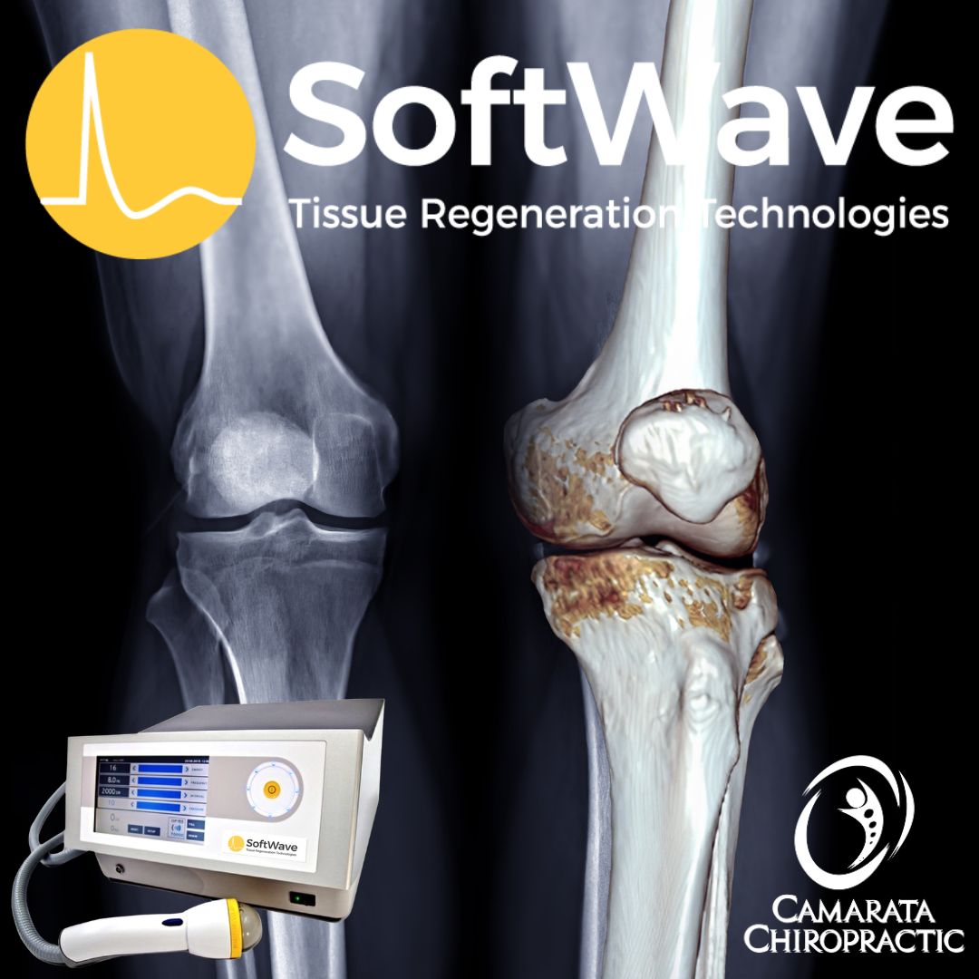 The Role of MSC-Derived Exosomes in Articular Cartilage Repair: A Look at Osteoarthritis